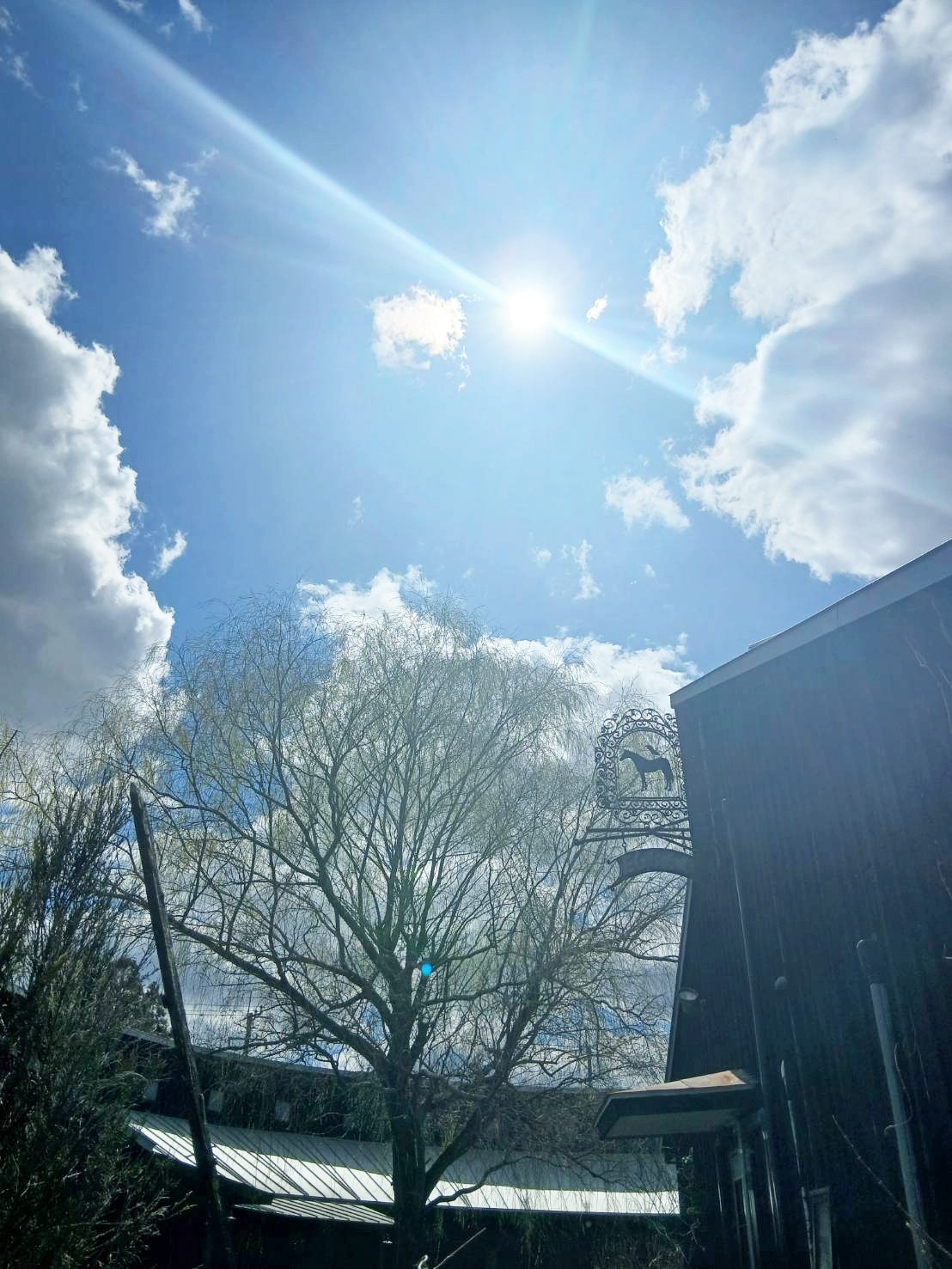 15259c26e4d820852260ac3657b26313-1775711900.jpg 15259c26e4d820852260ac3657b26313-1775711900.jpg