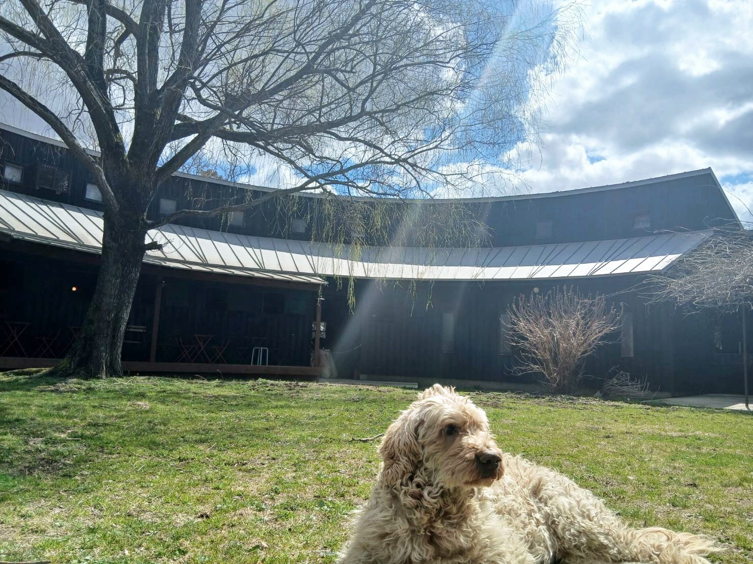 8250e7594e46817b9d0f455520384893-1775711910.jpg 8250e7594e46817b9d0f455520384893-1775711910.jpg