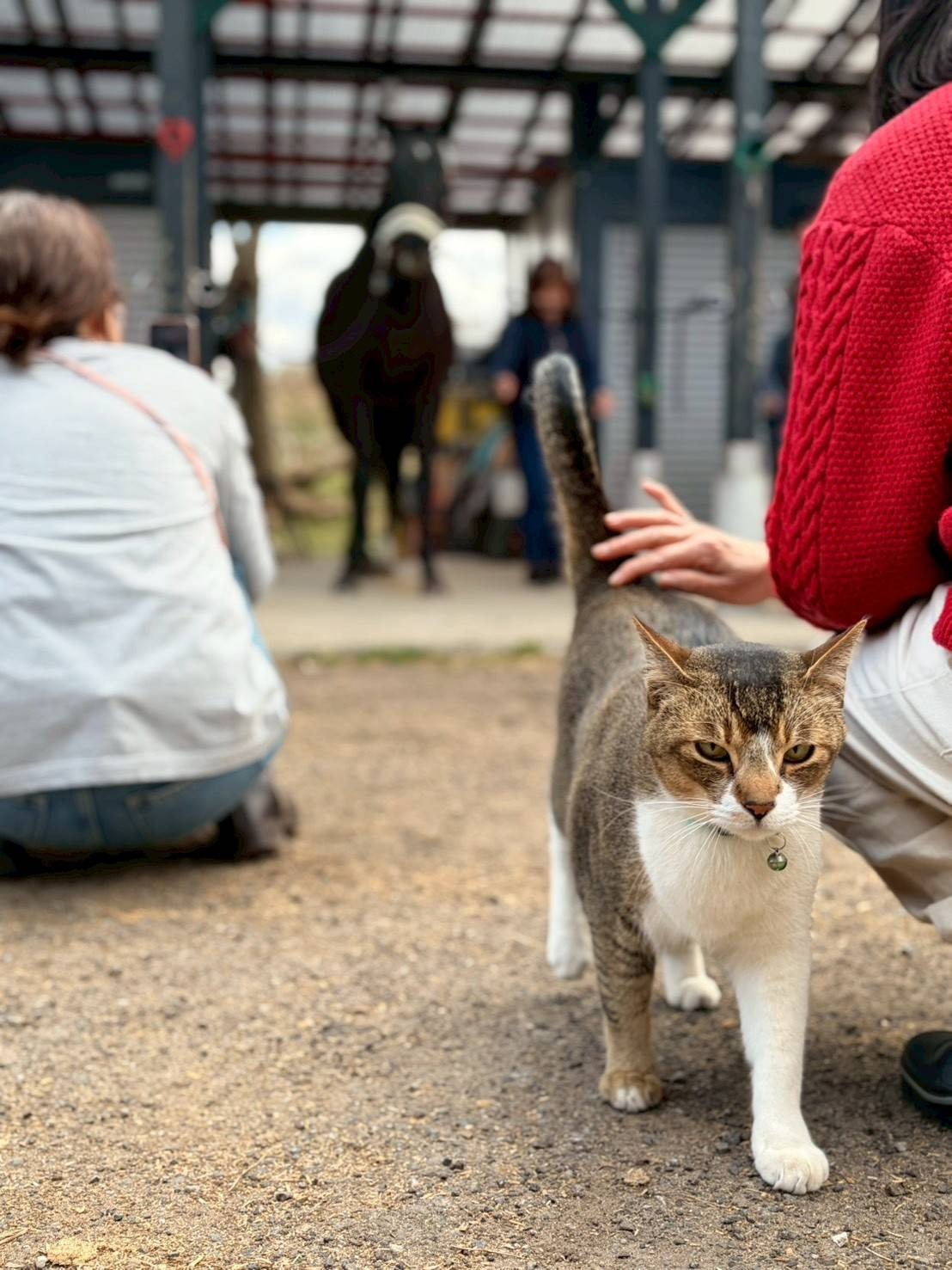 649280ddb9c66645e9258626200b63d3-1775716331.jpg 649280ddb9c66645e9258626200b63d3-1775716331.jpg