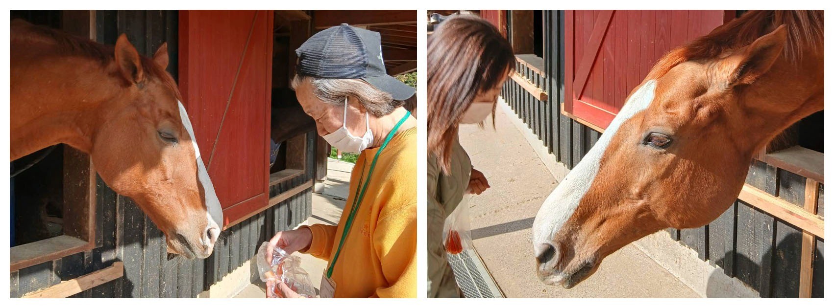 126fa21ef08ee56f4d507b1af2b2b692-1775716084.jpg 126fa21ef08ee56f4d507b1af2b2b692-1775716084.jpg