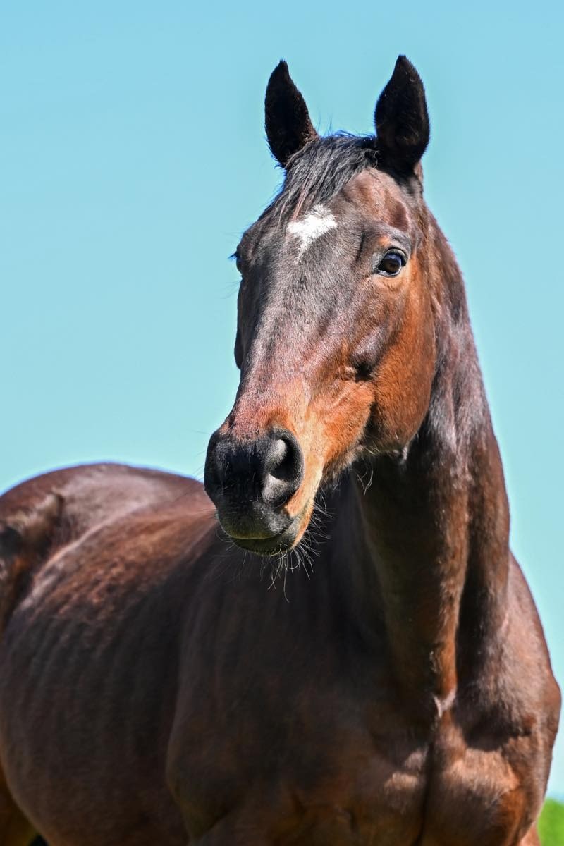 17e5b0eb65d49ecb1d881de6d5192b92-1774973427.jpg 17e5b0eb65d49ecb1d881de6d5192b92-1774973427.jpg