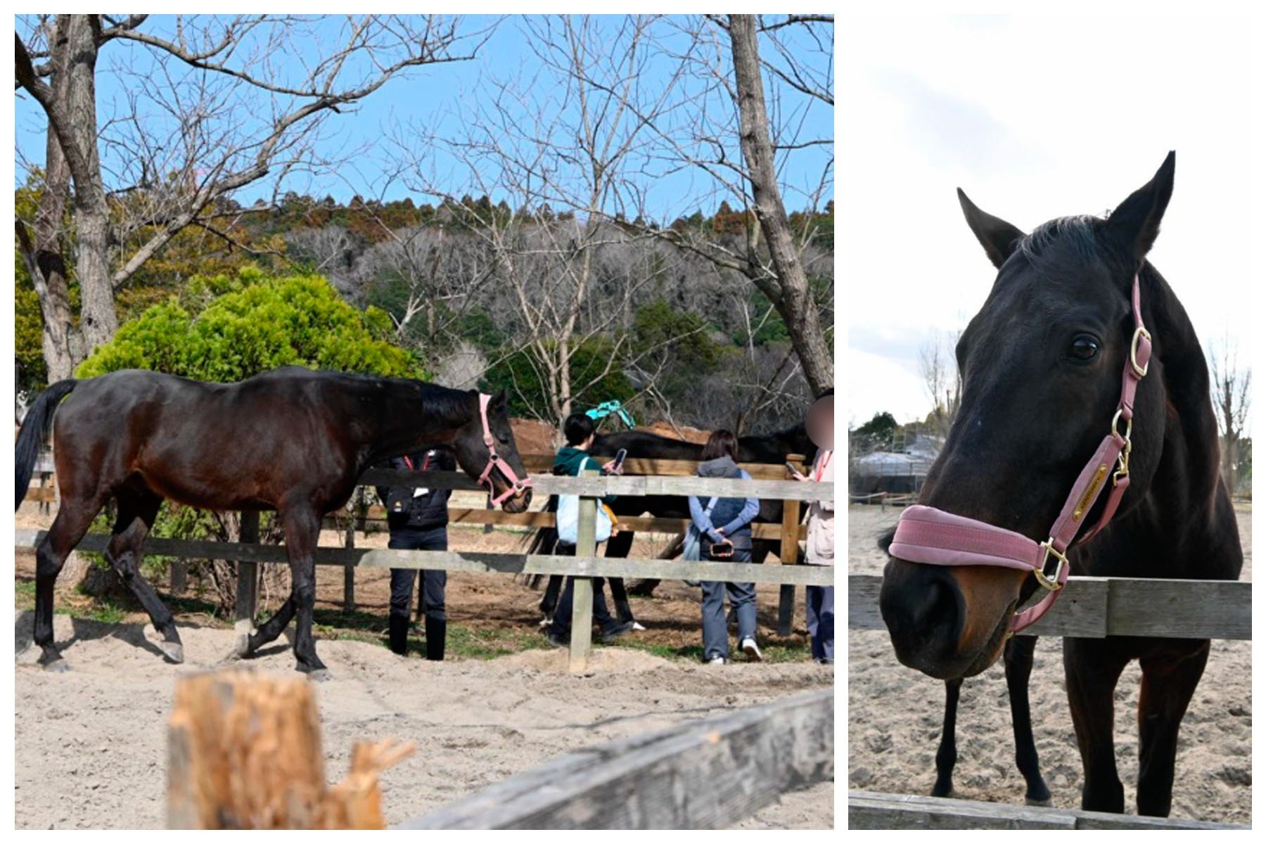 2b1d89fcee82cb938e76cf4beb69e10e-1775720857.jpg 2b1d89fcee82cb938e76cf4beb69e10e-1775720857.jpg