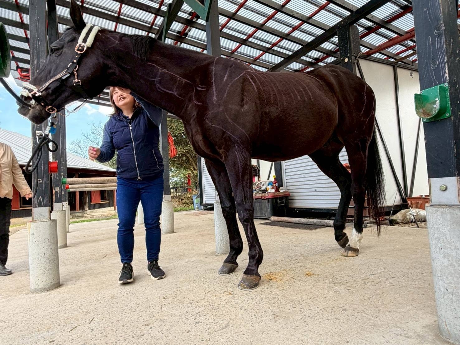 1d6929a884dfa856ed18a442e9dd55a5-1775712071.jpg 1d6929a884dfa856ed18a442e9dd55a5-1775712071.jpg