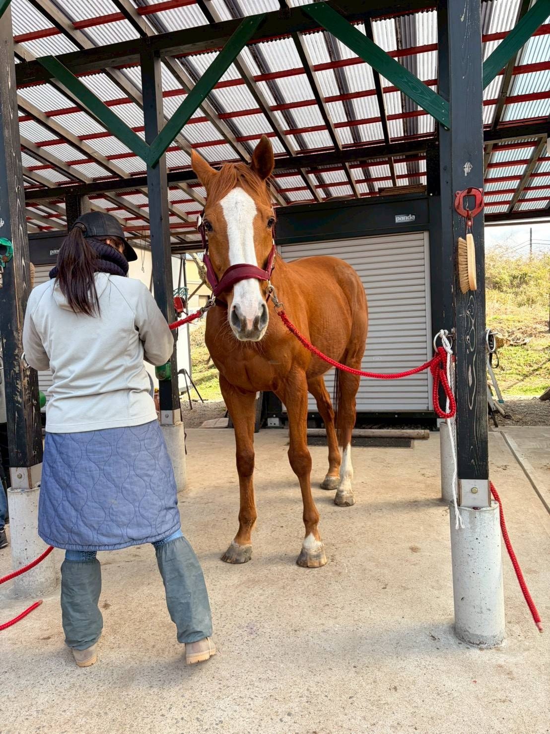 413ebb9d004b5964457cd119b352d107-1775715618.jpg 413ebb9d004b5964457cd119b352d107-1775715618.jpg