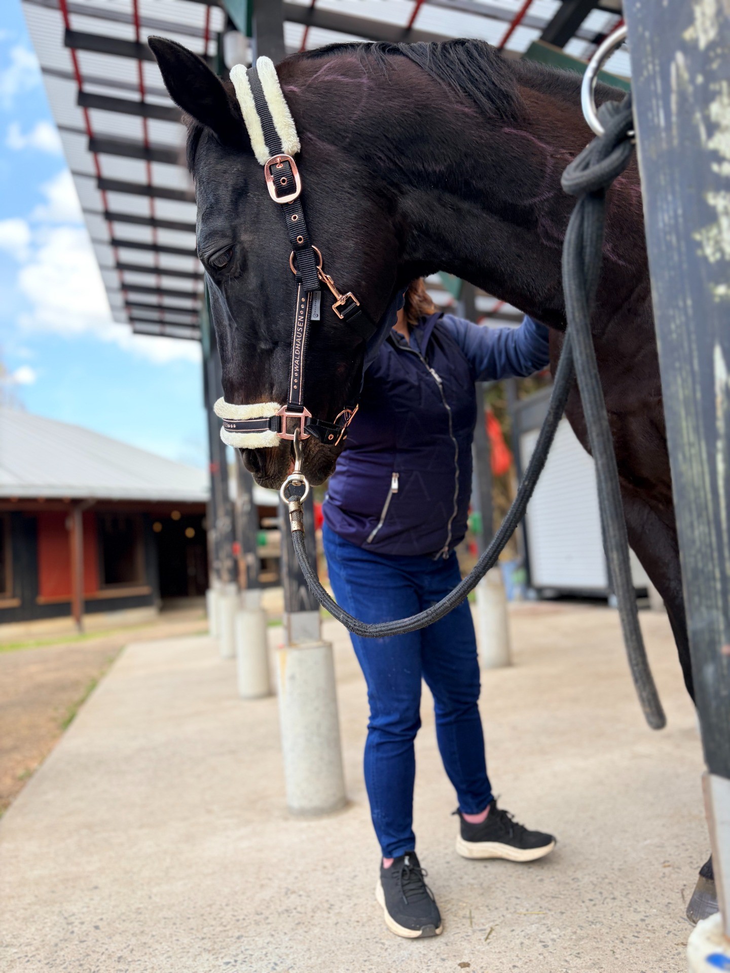 2e69db3c7fff7d36091835533dcfccdf-1775717985.jpg 2e69db3c7fff7d36091835533dcfccdf-1775717985.jpg