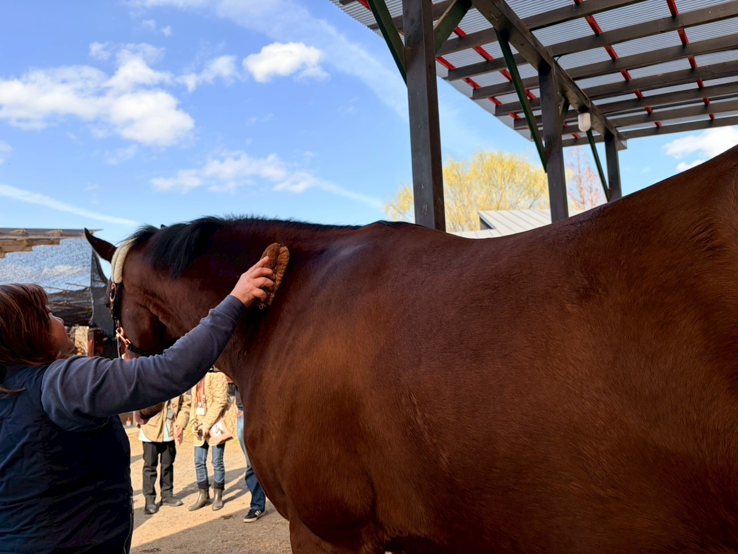 f42100d16b3165cbdc6ee48d78be4f1f-1775718317.jpg f42100d16b3165cbdc6ee48d78be4f1f-1775718317.jpg