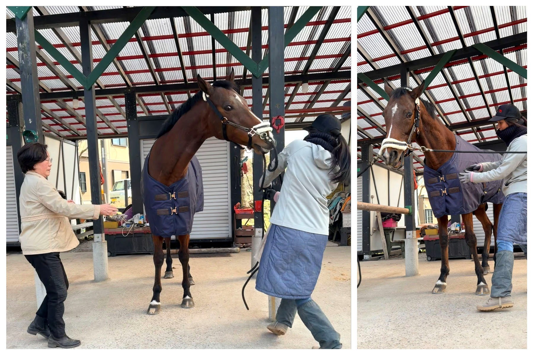 02e31ba39be818a588e4f4403730ccb7-1775715491.jpg 02e31ba39be818a588e4f4403730ccb7-1775715491.jpg