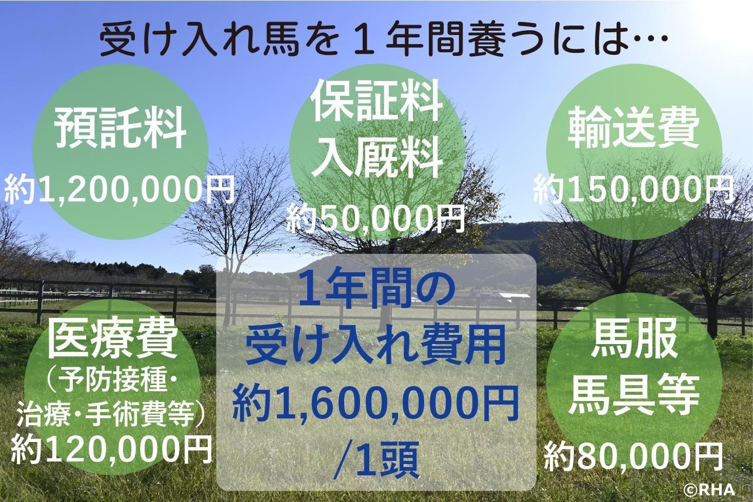 74a8a392352faf6b86378522477c5854-1776227861.jpg 74a8a392352faf6b86378522477c5854-1776227861.jpg