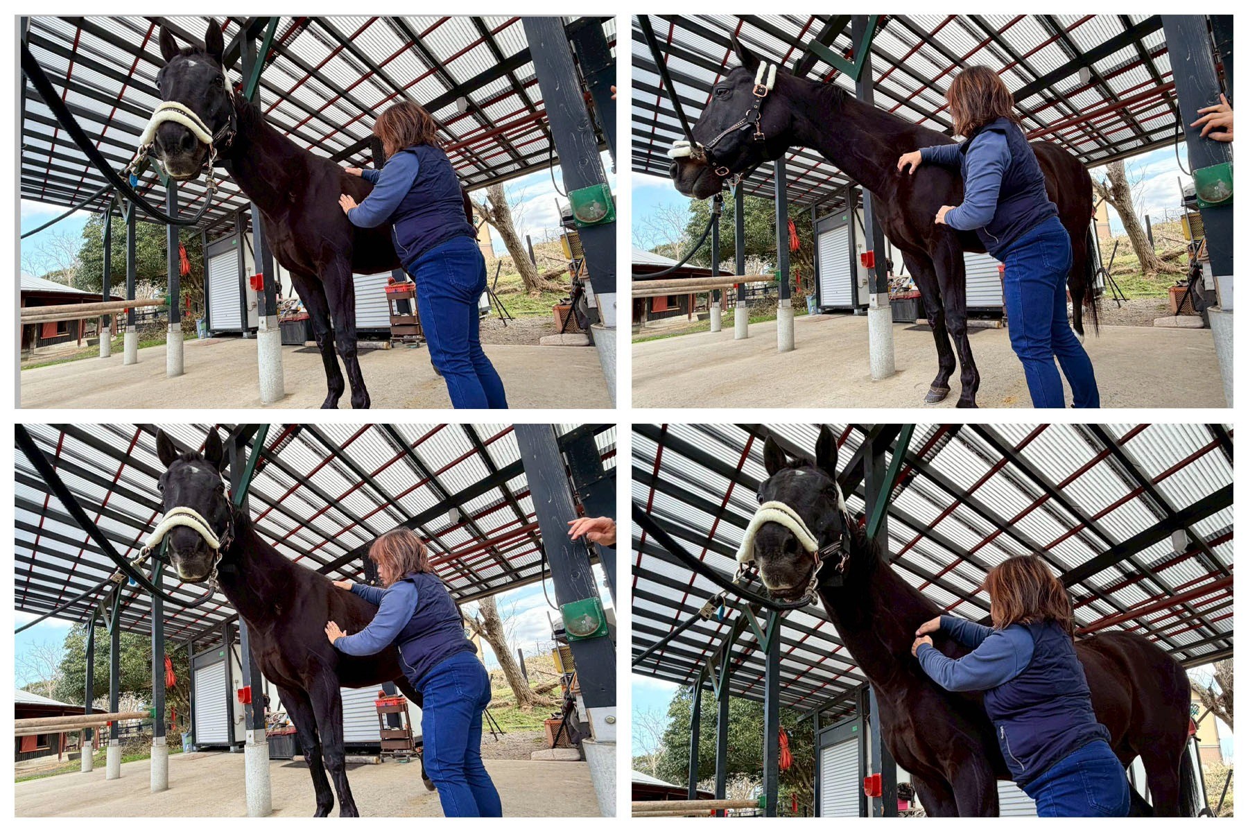 f2c45b590e2e43d8e71a3867baec9f8a-1775712205.jpg f2c45b590e2e43d8e71a3867baec9f8a-1775712205.jpg