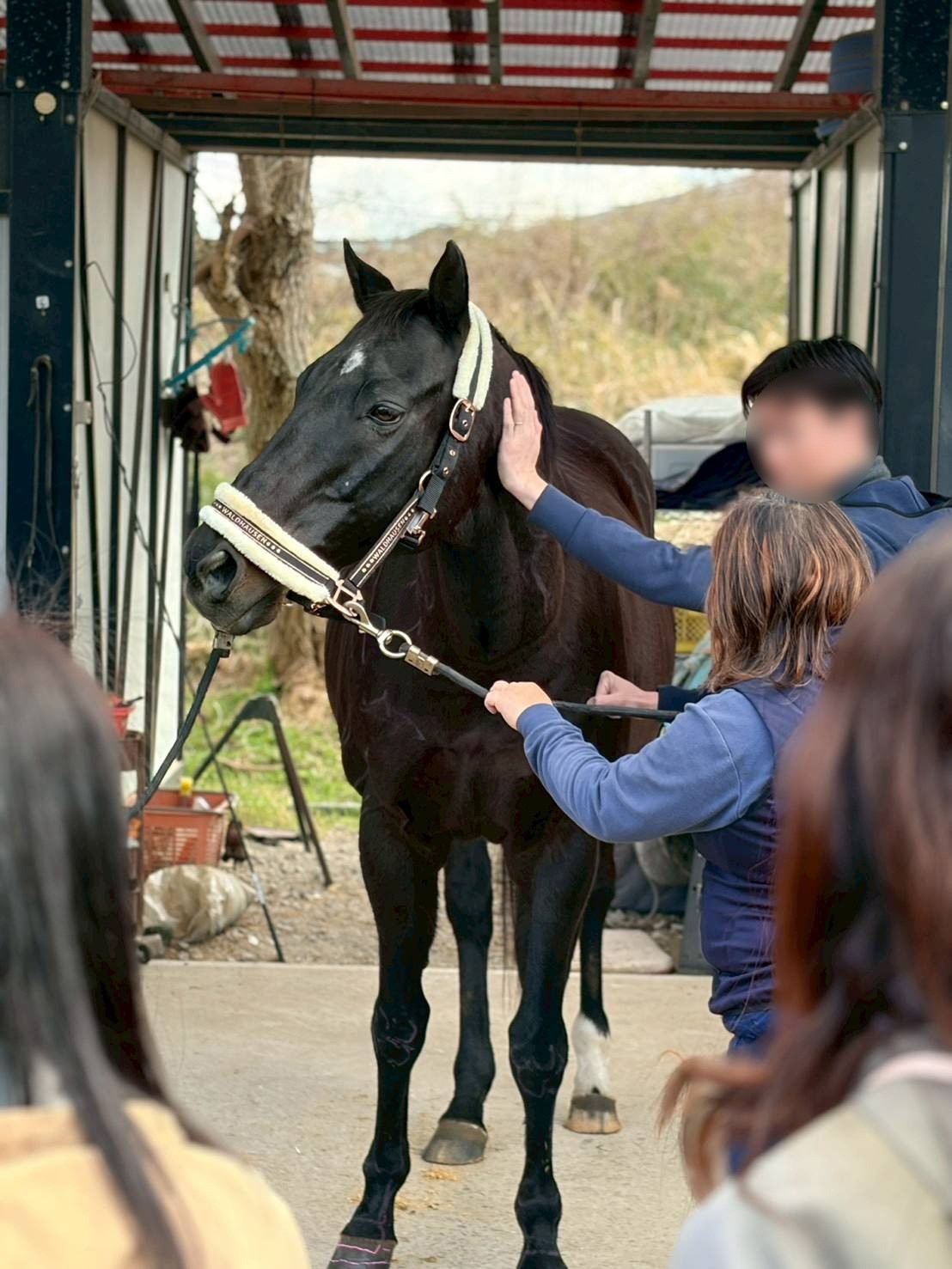 52f201b58fc6d6673892bc4024eb3e12-1775712319.jpg 52f201b58fc6d6673892bc4024eb3e12-1775712319.jpg