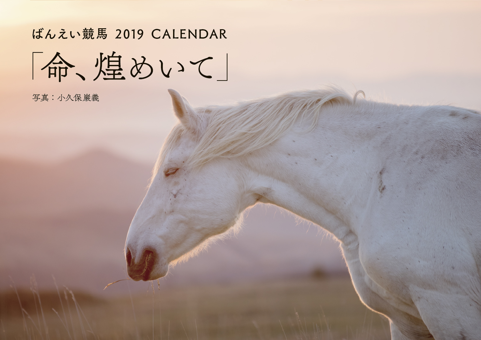 ばんえい競馬2019カレンダー：今年も再就職支援プログラムを応援