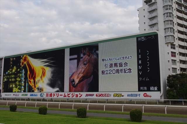 「引退馬の余生15川崎」イベント＆協賛レース開催！