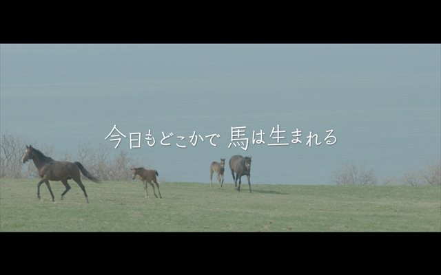 「今日もどこかで馬は生まれる」上映会開催：大阪会場も満席となりました