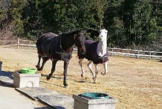 【おにくんだより】更新しました！
