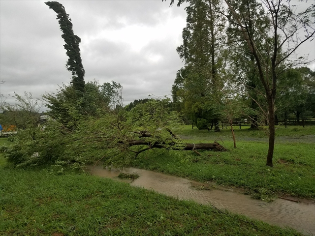 台風15号被害による乗馬倶楽部イグレットへのご支援について