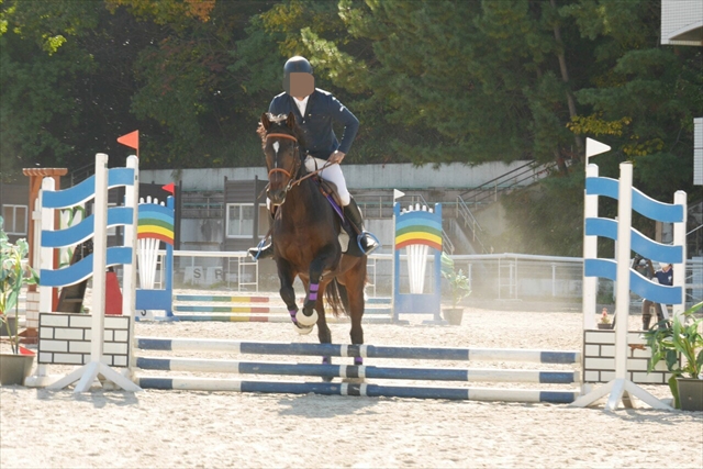 騎馬隊退役馬「翔馬」号の異動について