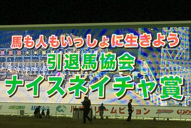 「引退馬の余生16川崎」イベント＆協賛レース開催！