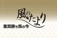 タイキフォーチュンが週刊Gallopに！
