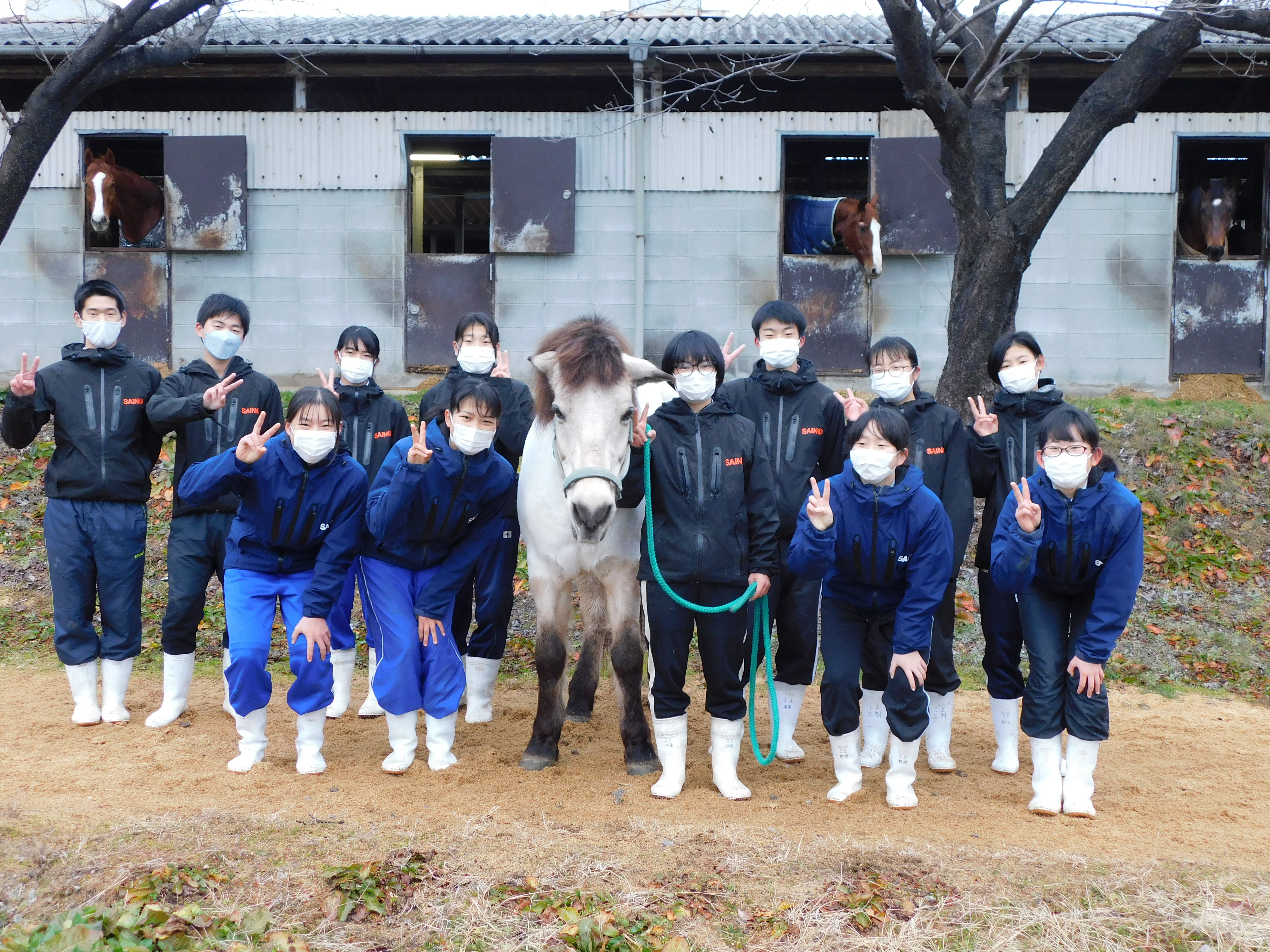 高校馬術部で功労馬を最後まで面倒みたい！サポートホース団体立ち上げ！～西条農業高校同窓会　馬術部功労馬を応援する会