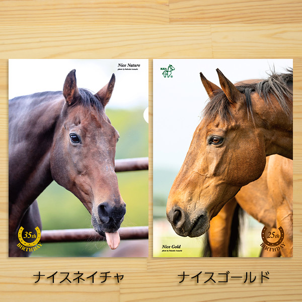 【引退馬協会 公式グッズ】新デザインが登場　新作クリアファイル販売開始！