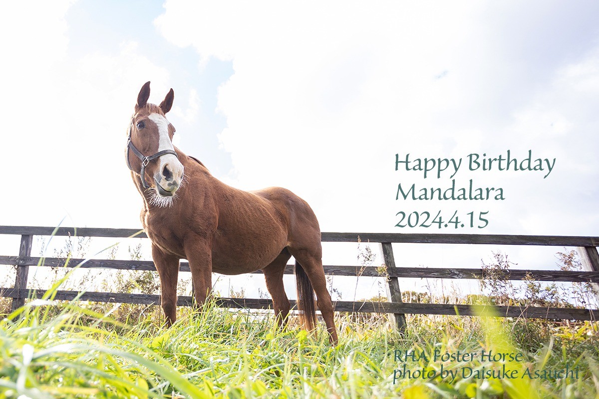 マンダララ 27歳の誕生日おめでとう！