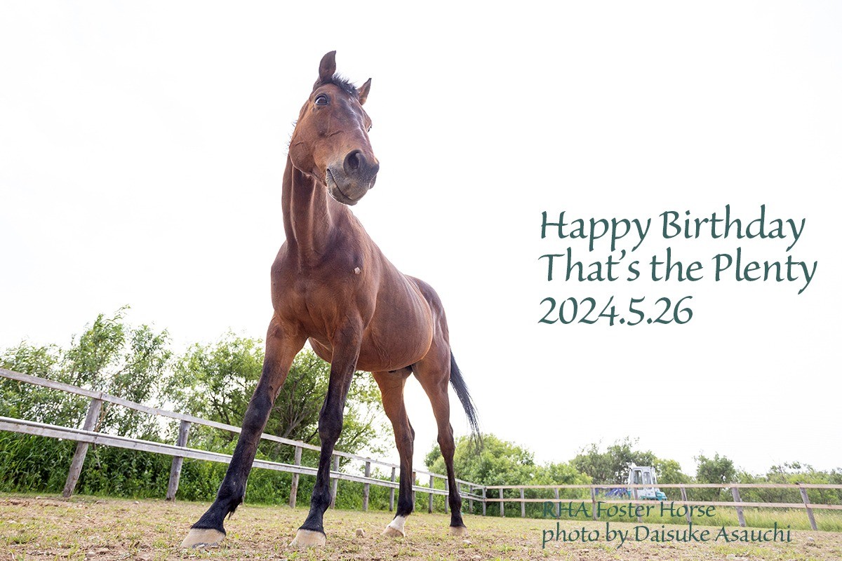 ザッツザプレンティ 24歳の誕生日おめでとう！