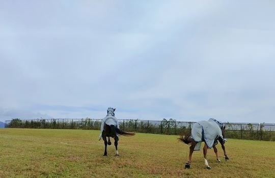 10月のご報告　ツアーありがとうございました！