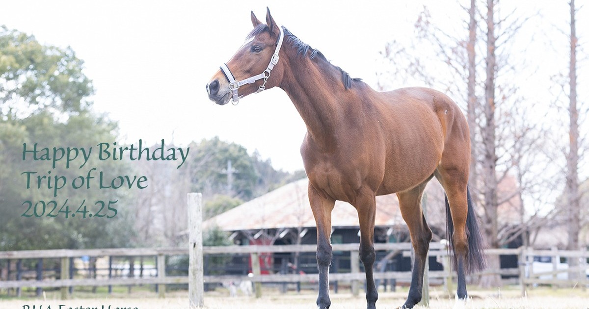 トリップオブラブ 10歳の誕生日おめでとう！