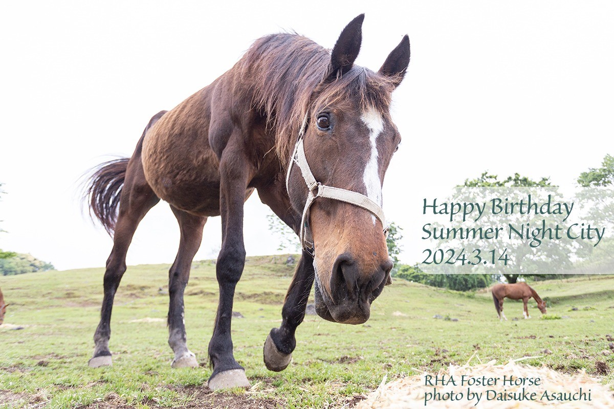 サマーナイトシティ 25歳の誕生日おめでとう！