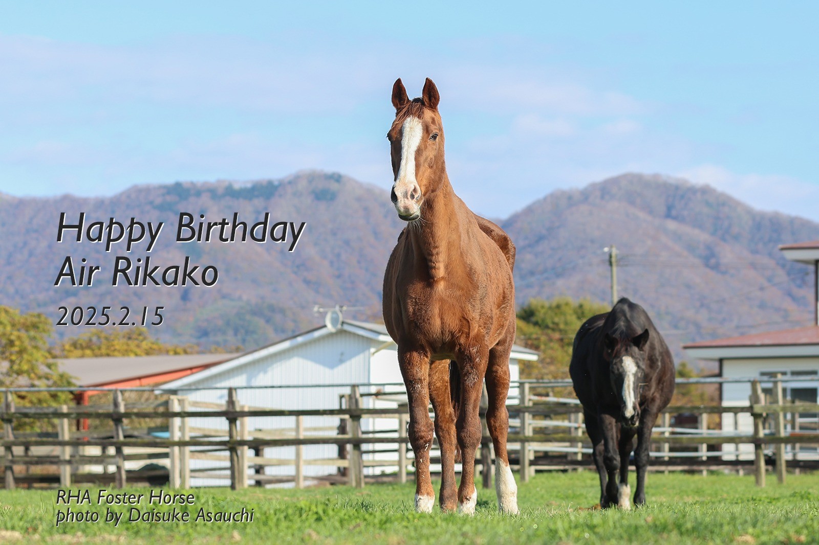 エアリカコ　26歳の誕生日おめでとう！