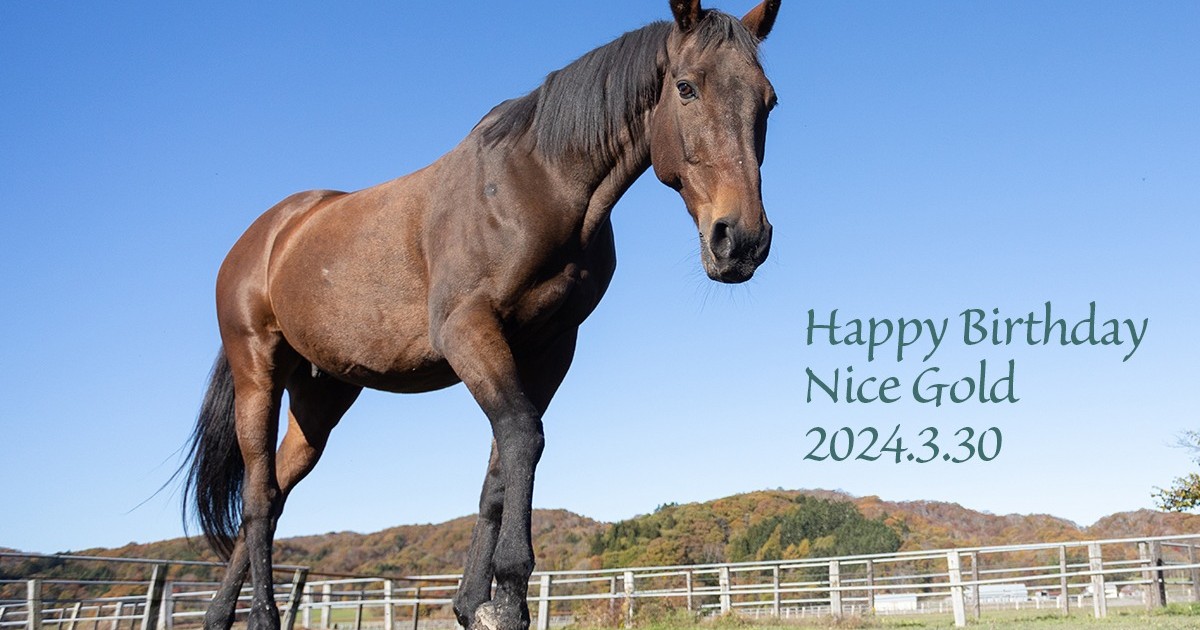 ナイスゴールド 26歳の誕生日おめでとう！