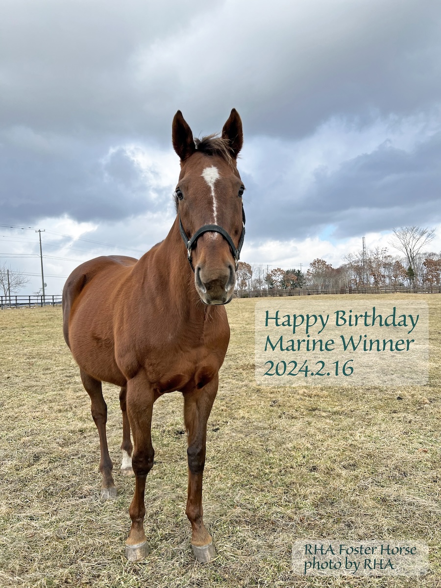 マリーンウィナー 19歳の誕生日おめでとう！