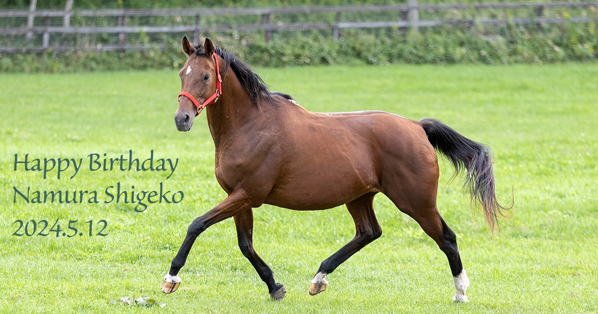 ナムラシゲコ 22歳の誕生日おめでとう！