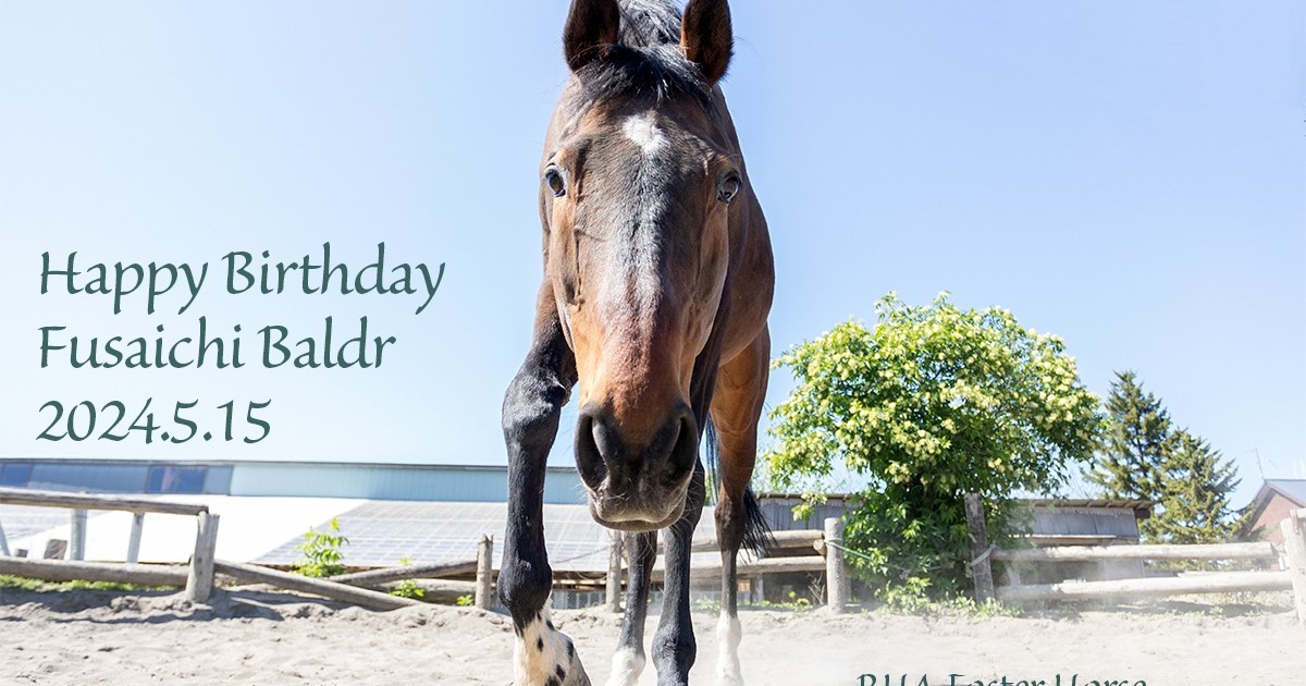 フサイチバルドル 23歳の誕生日おめでとう！