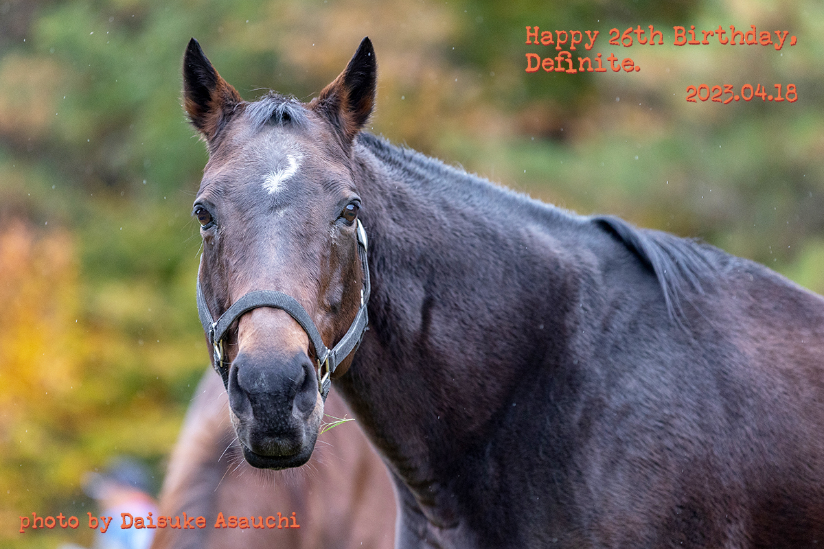 デフィニット 26歳の誕生日おめでとう！