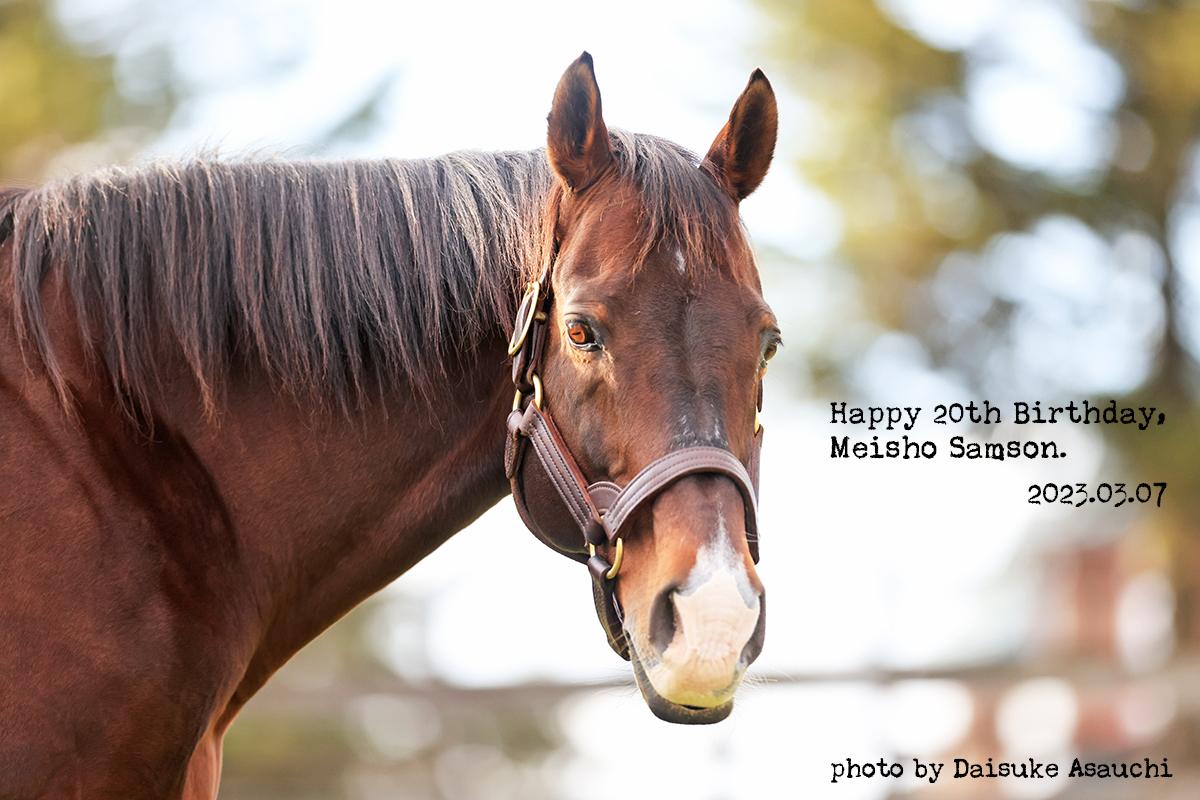 メイショウサムソン 20歳の誕生日おめでとう！