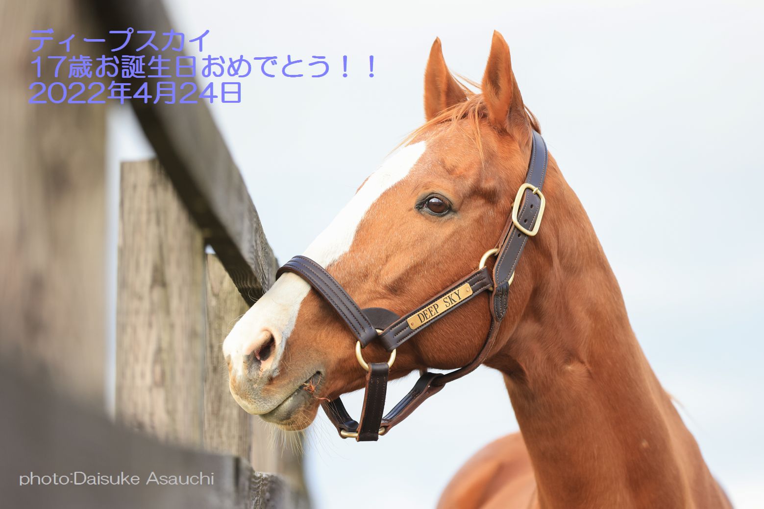 お誕生日おめでとう！！ディープスカイ