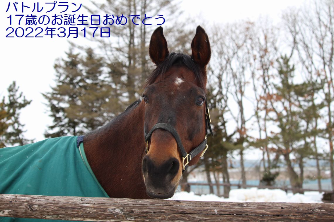 バトルプラン、お誕生日おめでとう！