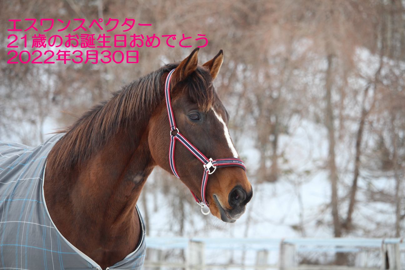 お誕生日おめでとう！！エスワンスペクター