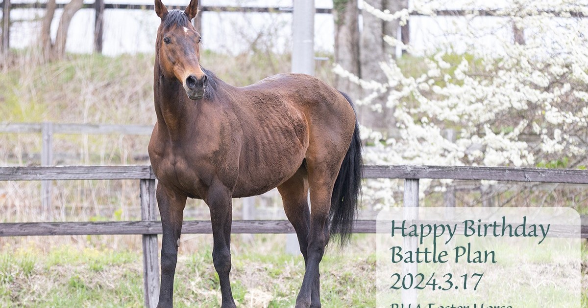 バトルプラン 19歳の誕生日おめでとう！