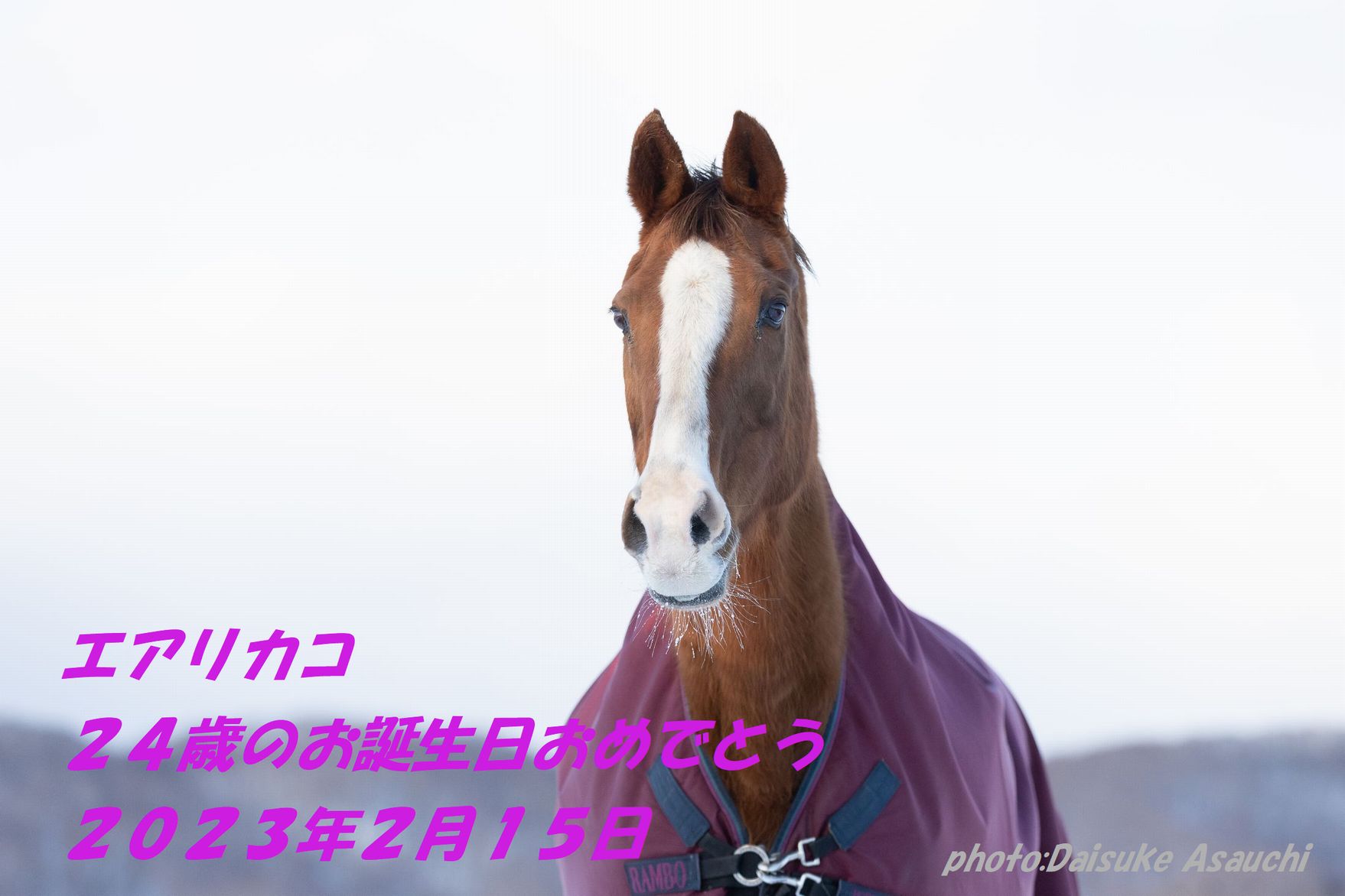 エアリカコ、お誕生日おめでとう！！