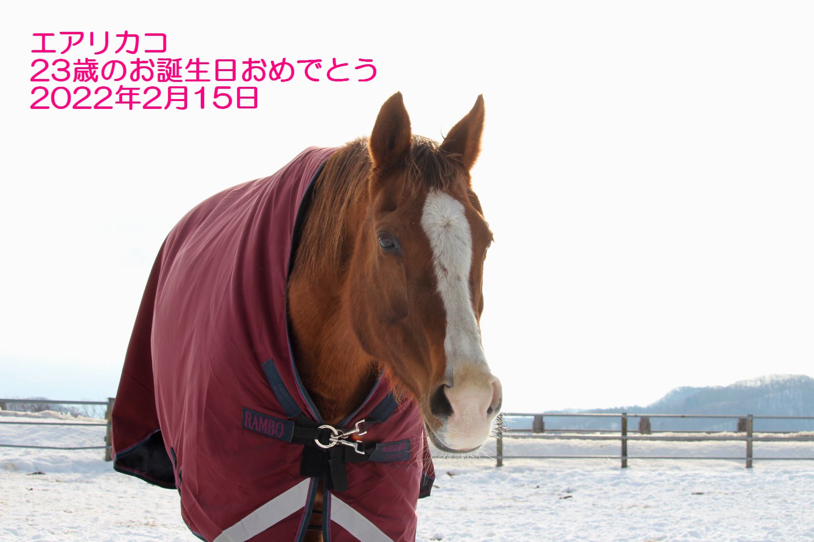 エアリカコ、お誕生日おめでとう！！