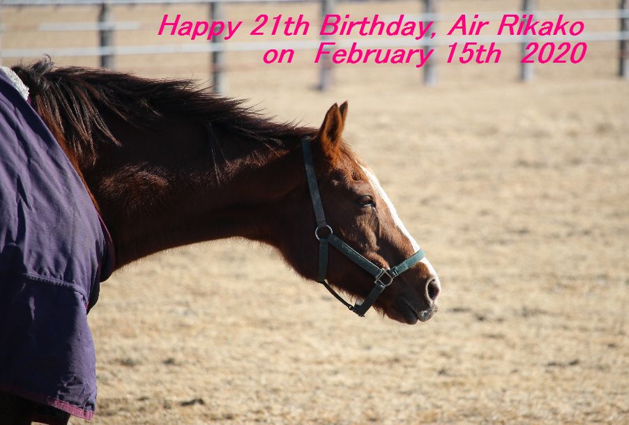エアリカコ、お誕生日おめでとう！！