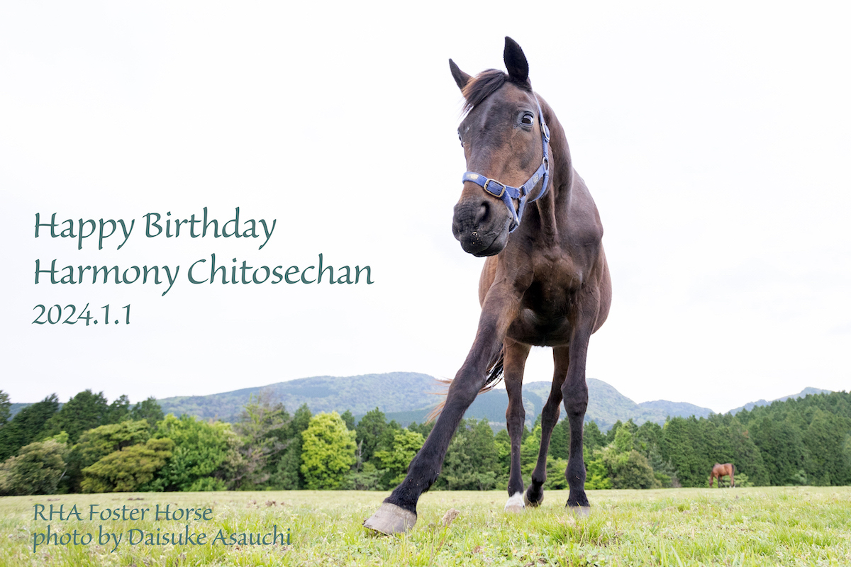 ハーモニィチトセチャン、お誕生日おめでとう！