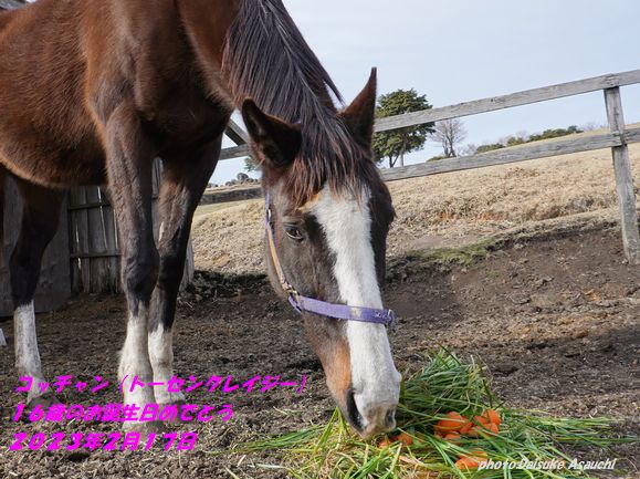 コッチャン、お誕生日おめでとう！