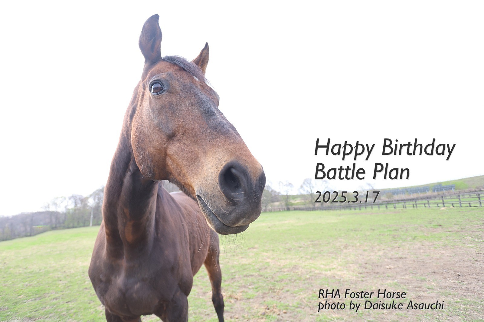 バトルプラン　20歳の誕生日おめでとう！