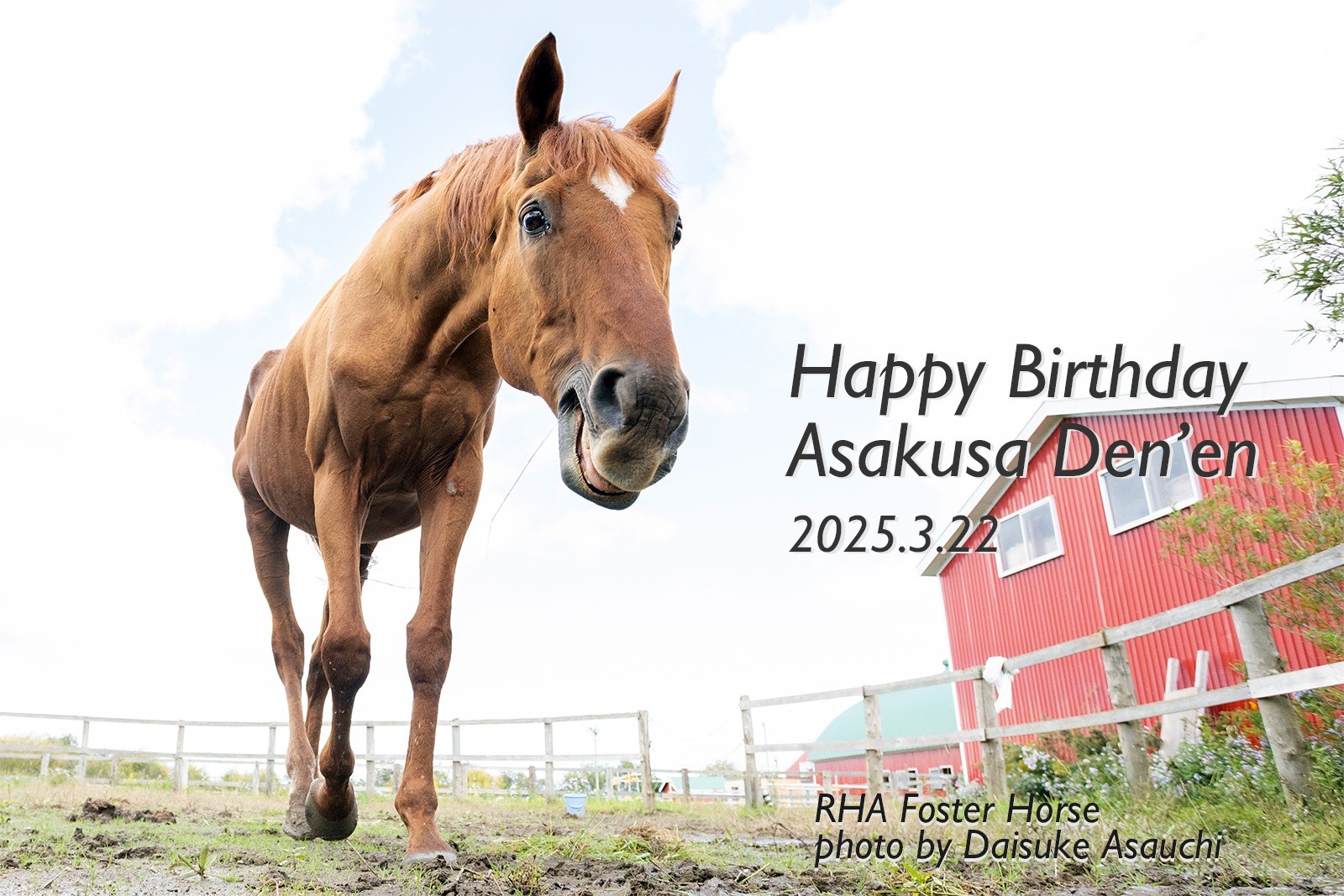アサクサデンエン　26歳の誕生日おめでとう！