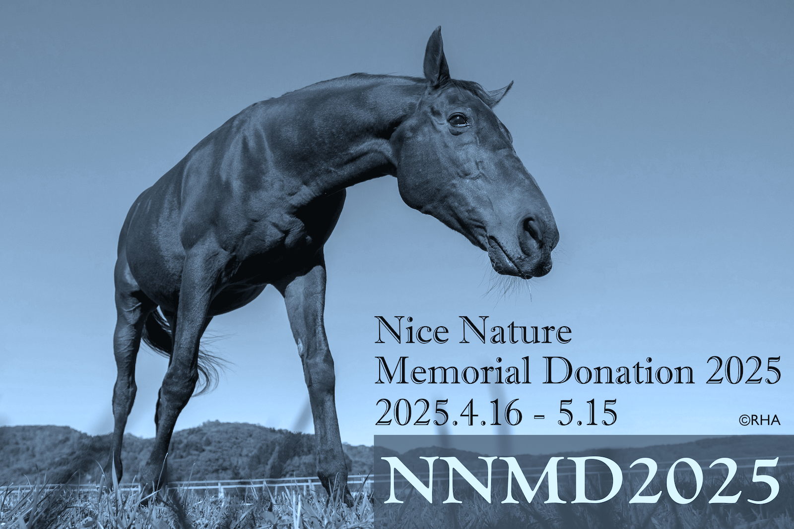 予告【NNMD2025】「ナイスネイチャ・メモリアルドネーション 2025」開催いたします