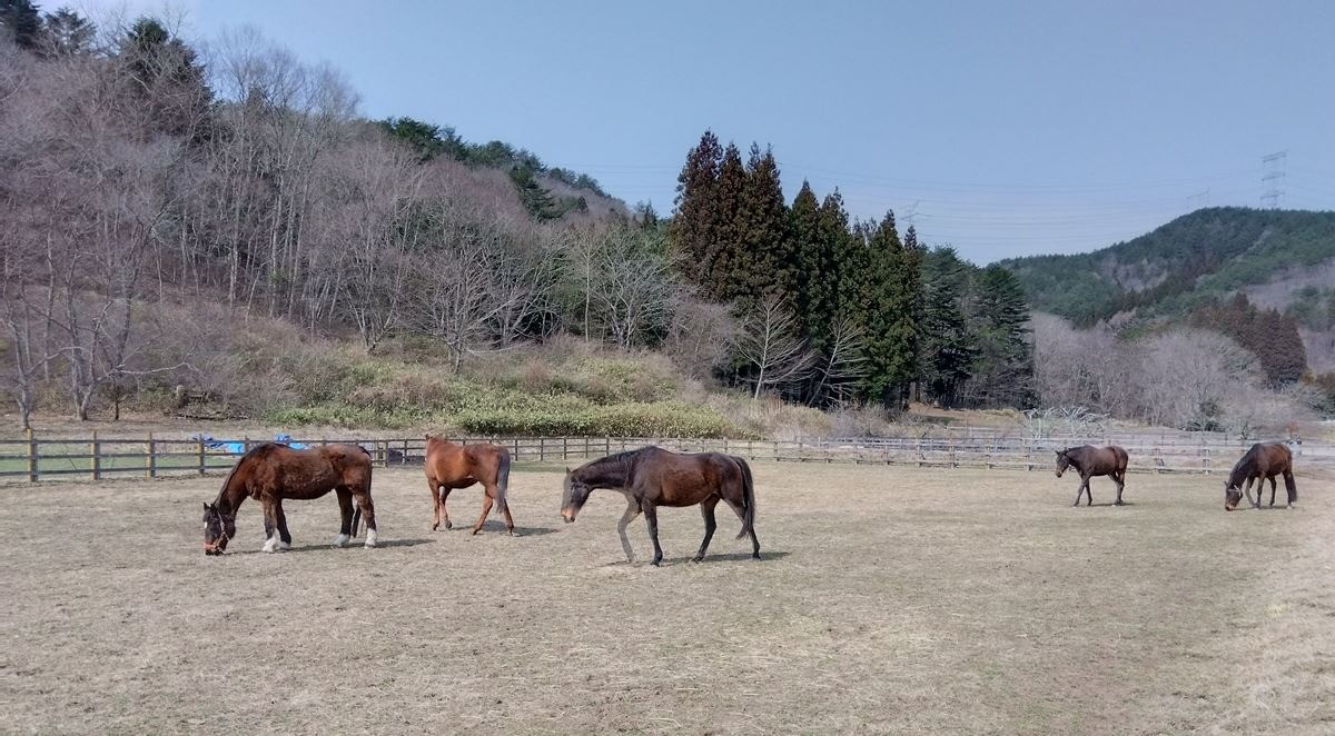 3月のご報告