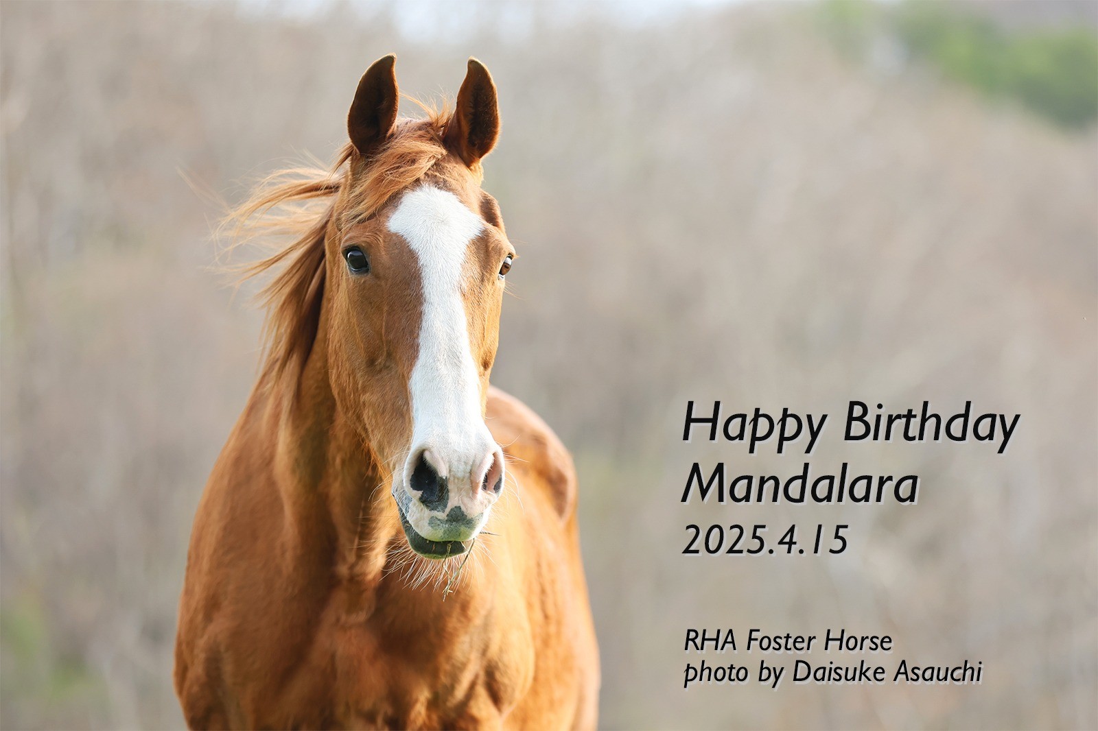 マンダララ　28歳の誕生日おめでとう！